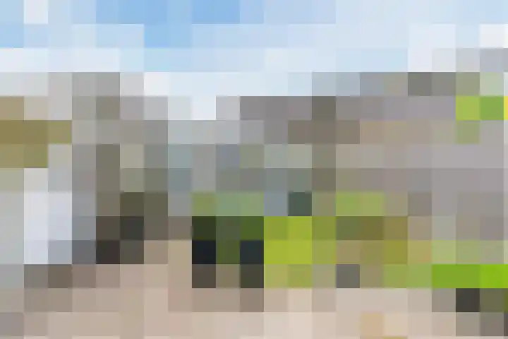 Elendil 16 Geldrop thumbnail 21