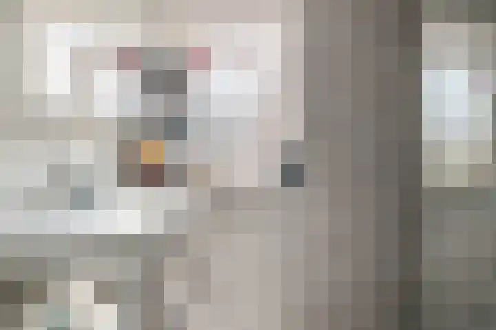 Elferinksweg 92 Enschede thumbnail 17