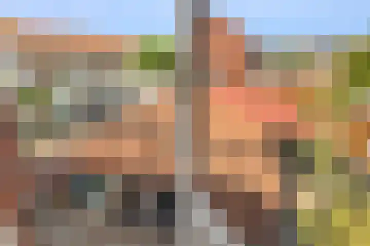 Elferinksweg 92 Enschede thumbnail 22