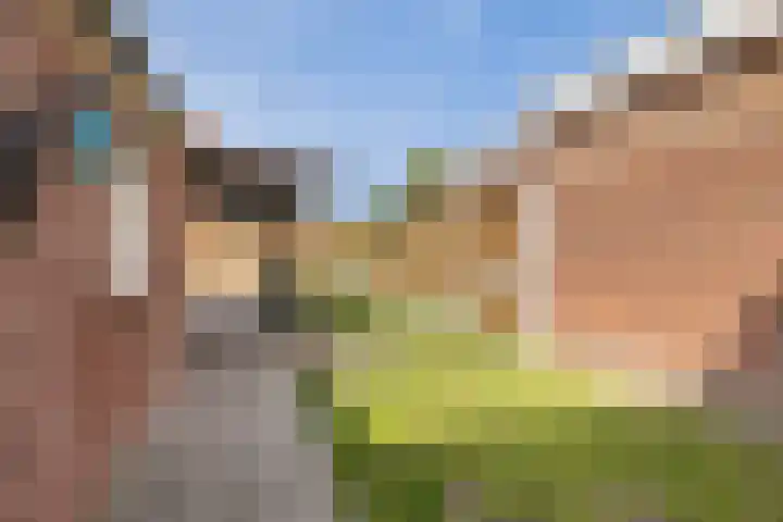 Elferinksweg 92 Enschede thumbnail 25