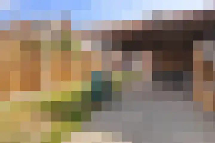 Elferinksweg 92 Enschede thumbnail 27
