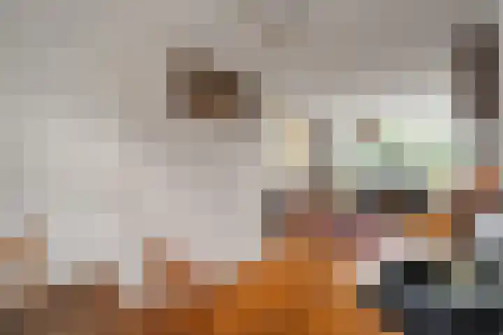 Elft 70 Hippolytushoef thumbnail 8