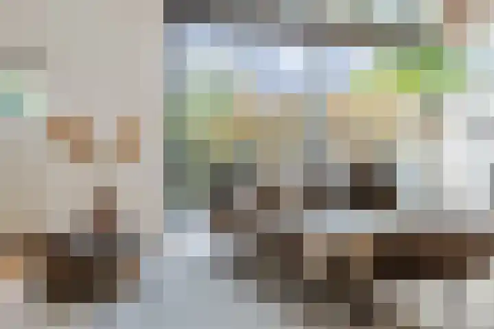 Eli Heimanshof 77 Oegstgeest thumbnail 10