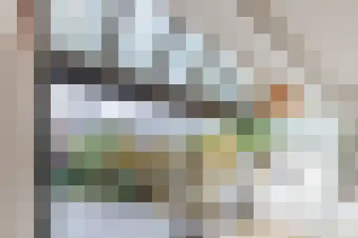 Eli Heimanshof 77 Oegstgeest thumbnail 11