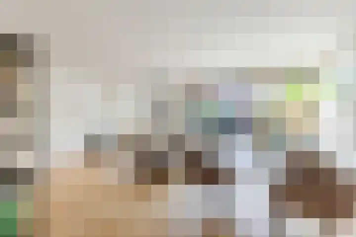 Eli Heimanshof 77 Oegstgeest thumbnail 15