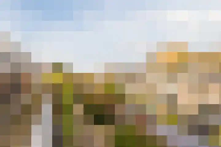 Eli Heimanshof 77 Oegstgeest thumbnail 35