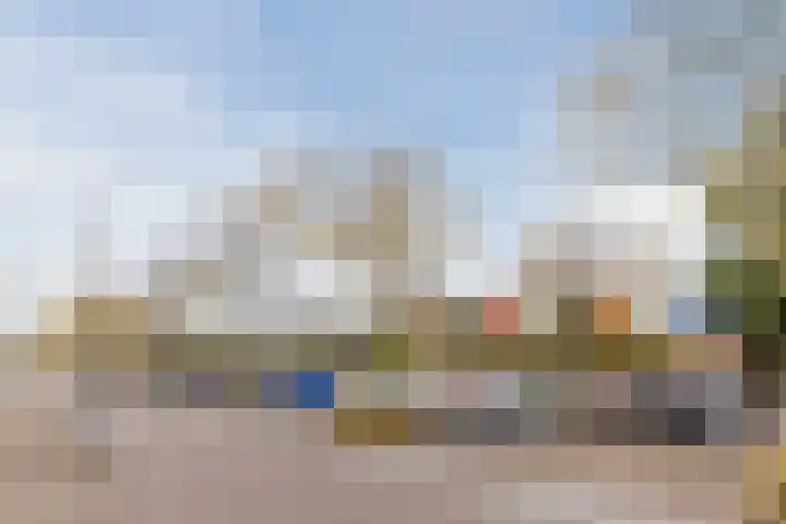 Eli Heimanshof 77 Oegstgeest thumbnail 40
