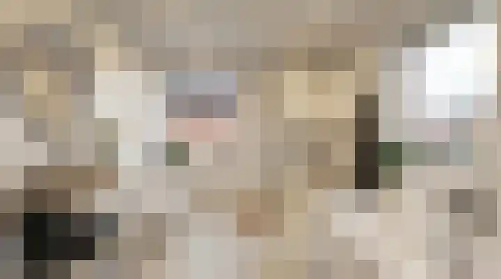 Eliasdreef 2 Poeldijk thumbnail 34