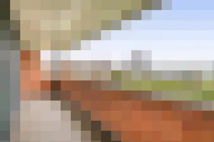 Eliasdreef 2 Poeldijk thumbnail 39