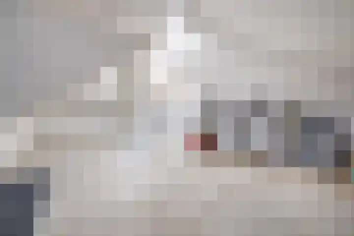 Eliasdreef 2 Poeldijk thumbnail 49