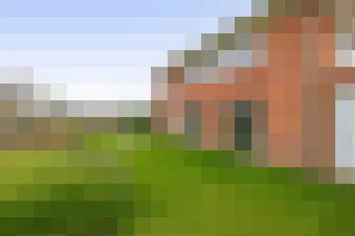 Eliasdreef 2 Poeldijk thumbnail 60