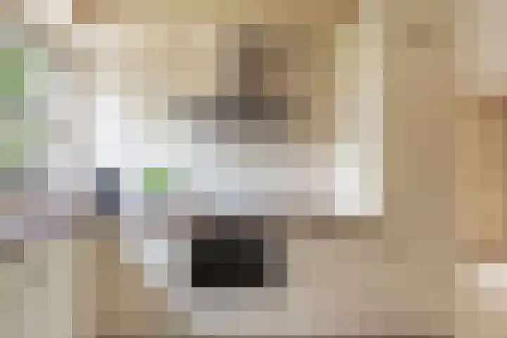 Eliasdreef 40 Poeldijk thumbnail 19