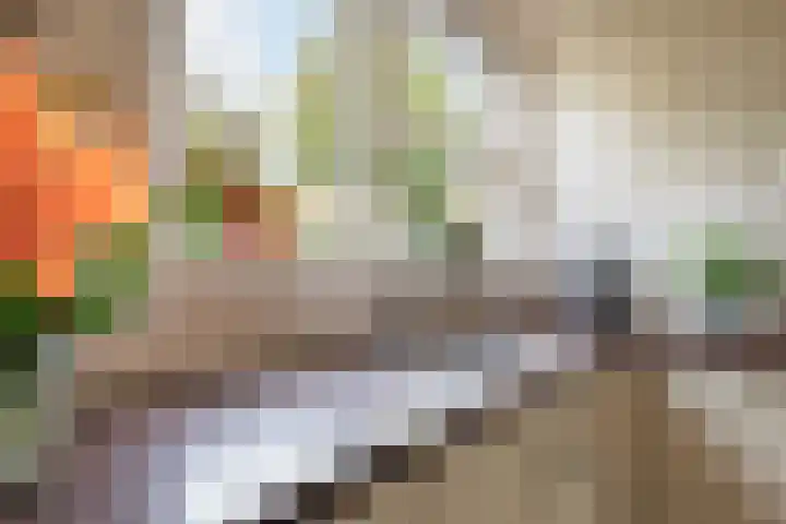 Eliasdreef 40 Poeldijk thumbnail 20