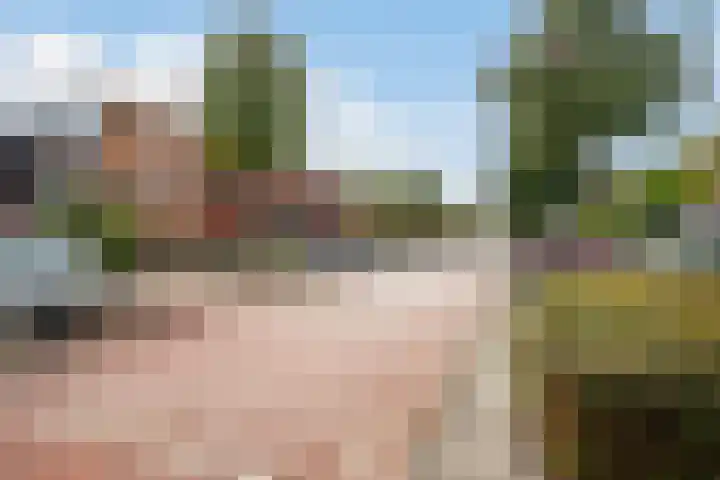 Eliasdreef 40 Poeldijk thumbnail 49