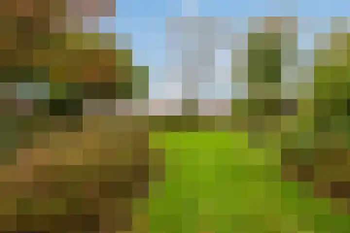 Eliasdreef 40 Poeldijk thumbnail 51