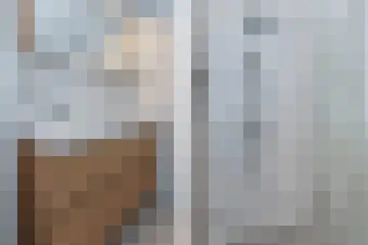 Eliasdreef 70 Poeldijk thumbnail 32