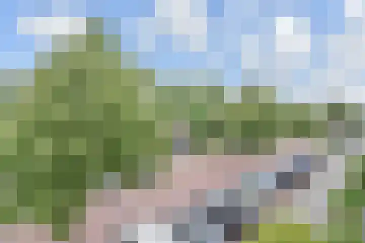 Eliasdreef 70 Poeldijk thumbnail 55
