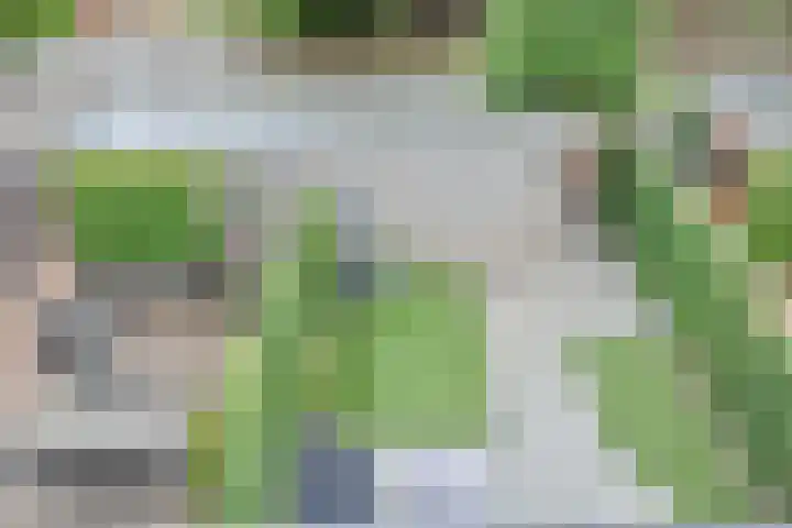 Eliasdreef 70 Poeldijk thumbnail 56