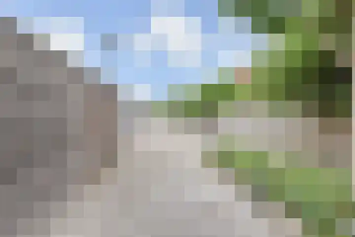 Eliasdreef 70 Poeldijk thumbnail 57