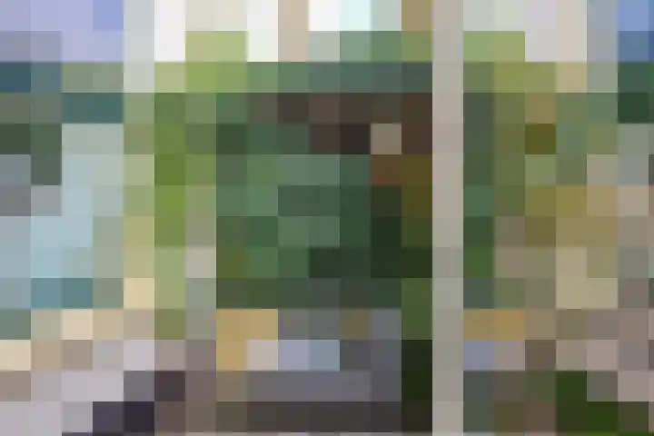 Eligenstraat 39 Utrecht thumbnail 22