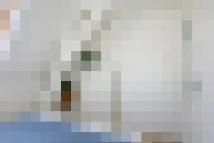 Eligenstraat 39 Utrecht thumbnail 30