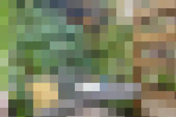 Eligenstraat 39 Utrecht thumbnail 4
