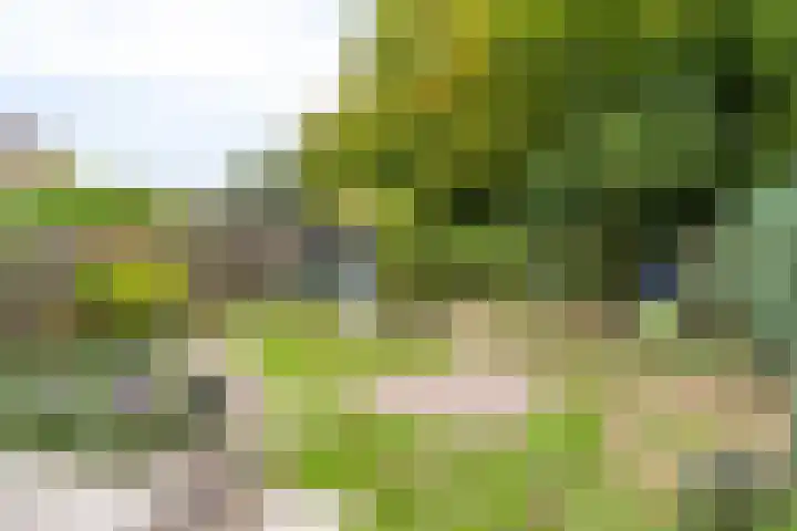 Eligiusweg 8 Venray thumbnail 22