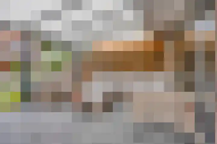 Elimstraat 6 Rotterdam thumbnail 22