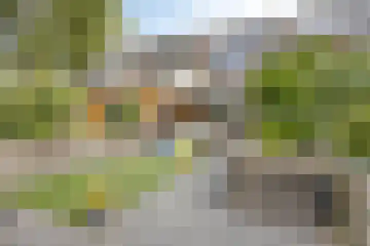 Elimstraat 6 Rotterdam thumbnail 23