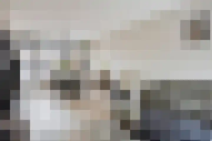 Elimstraat 6 Rotterdam thumbnail 4
