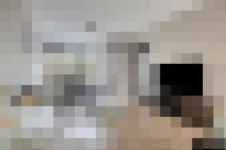 Elimstraat 6 Rotterdam thumbnail 5
