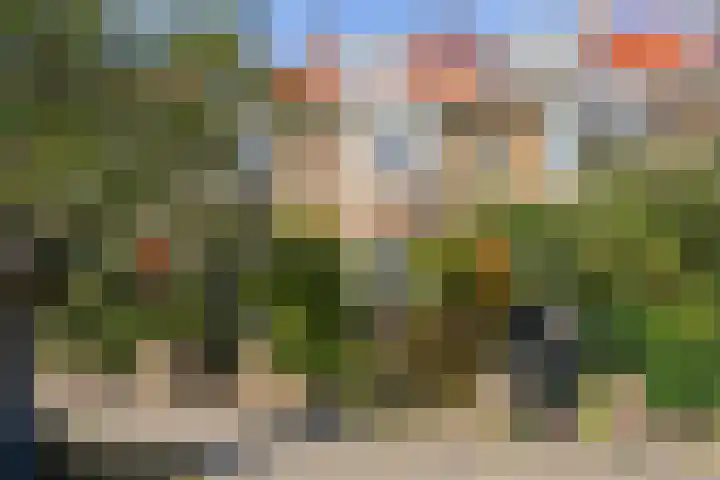 Foto van Eline de Vries