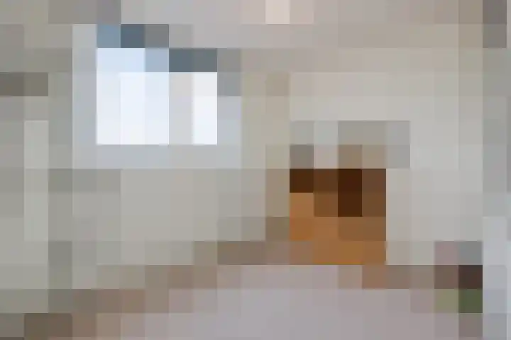 Elisabeth Bas 1 Boxtel thumbnail 37