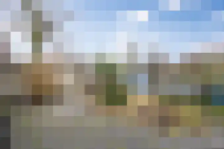 Elisabeth Bas 1 Boxtel thumbnail 39