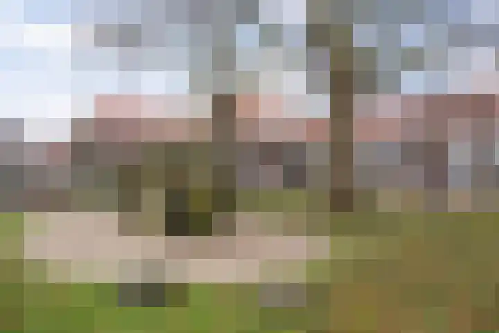 Elisabeth Bas 1 Boxtel thumbnail 53