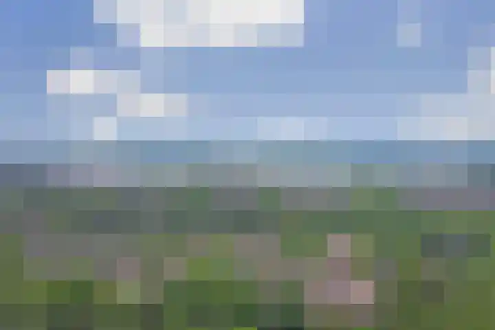 Elisabeth Hoeve 20 Gouda thumbnail 32