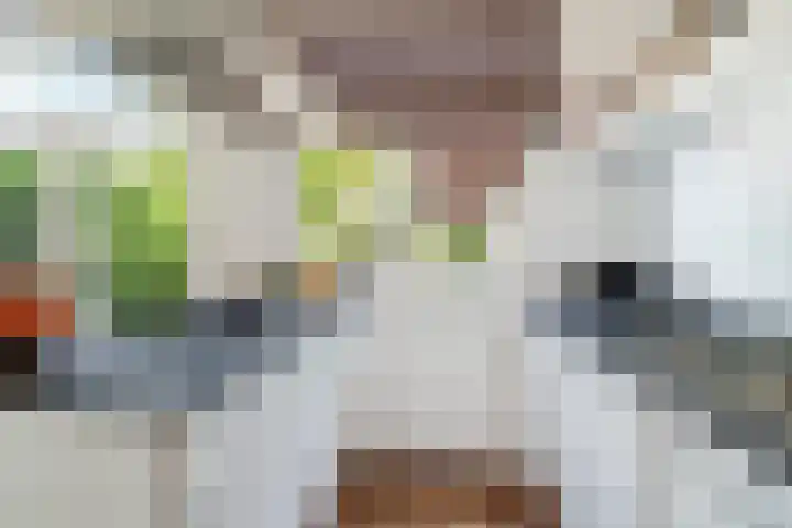 Elisabethlaan 10 Rotterdam thumbnail 15