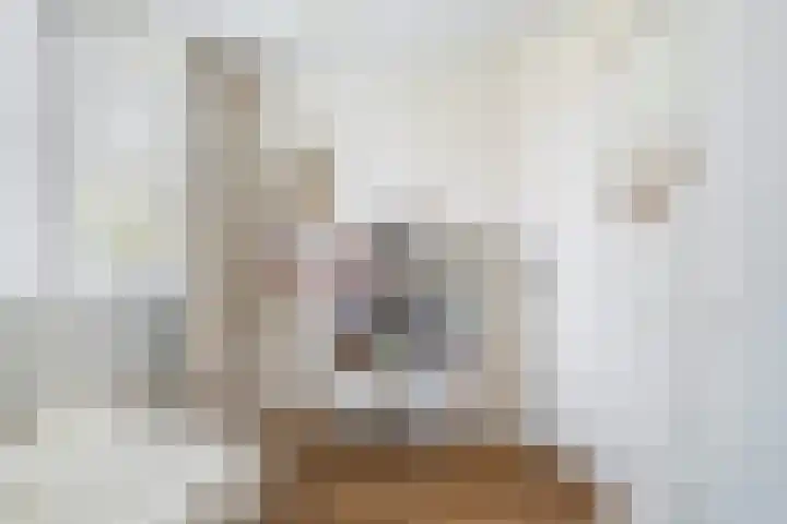 Elisabethlaan 10 Rotterdam thumbnail 25