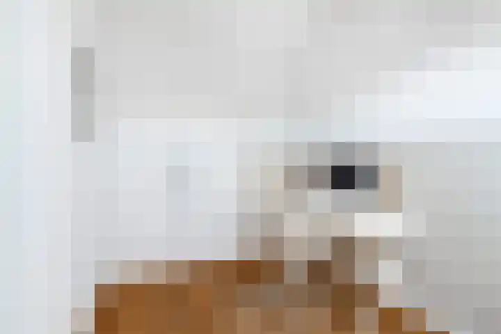 Elisabethlaan 10 Rotterdam thumbnail 32