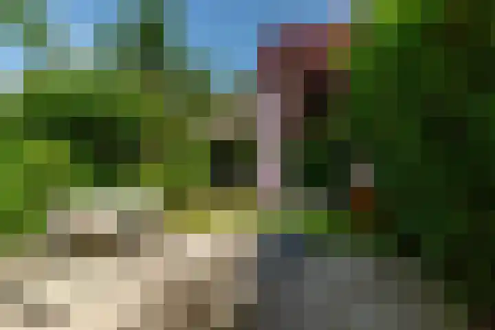Elisabethlaan 10 Rotterdam thumbnail 33