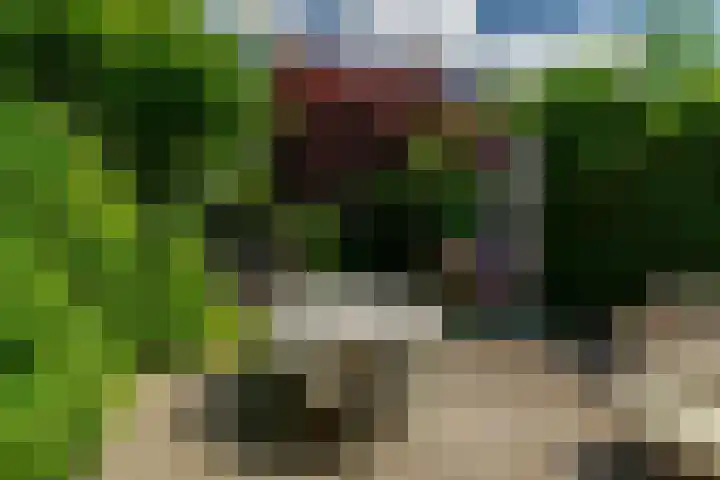 Elisabethlaan 10 Rotterdam thumbnail 34
