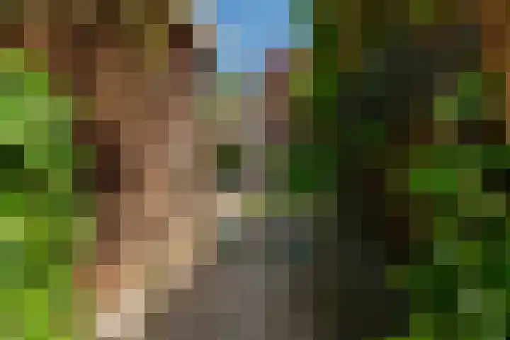 Elisabethlaan 10 Rotterdam thumbnail 37