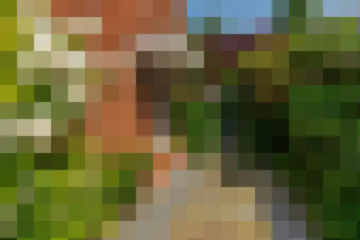 Elisabethlaan 10 Rotterdam thumbnail 4
