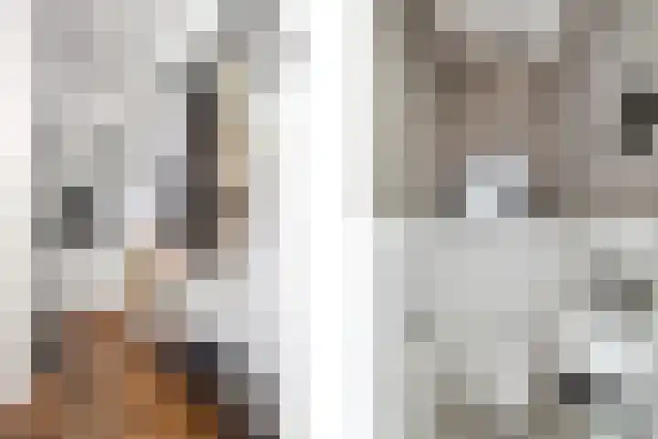 Elisabethlaan 10 Rotterdam thumbnail 5