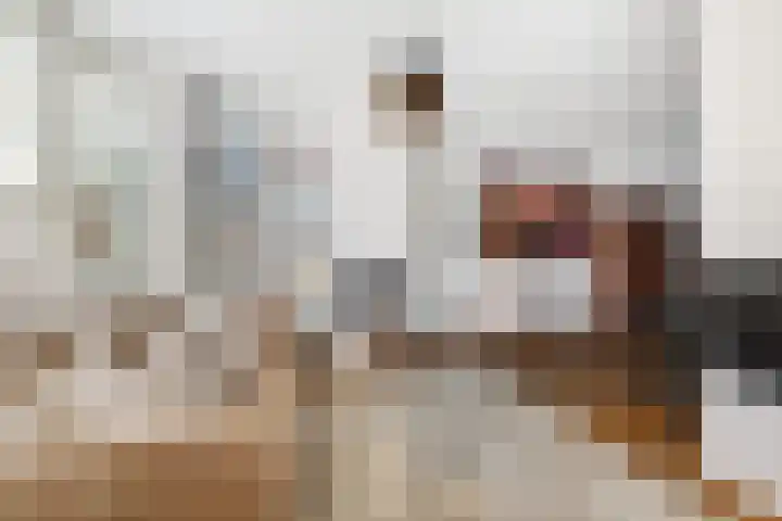 Elisabethlaan 10 Rotterdam thumbnail 6