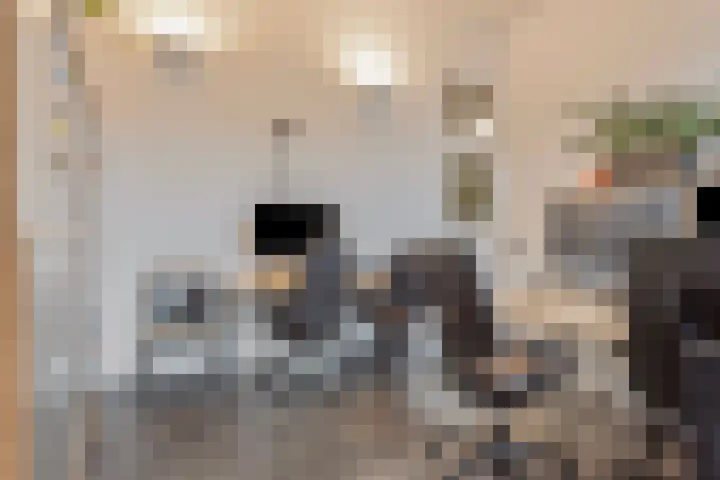 Elisabethplaats 30 Gemert thumbnail 16