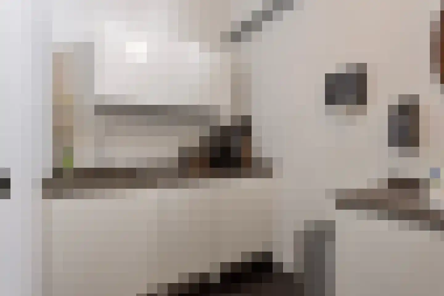 Elisabethplaats 30 Gemert thumbnail 21