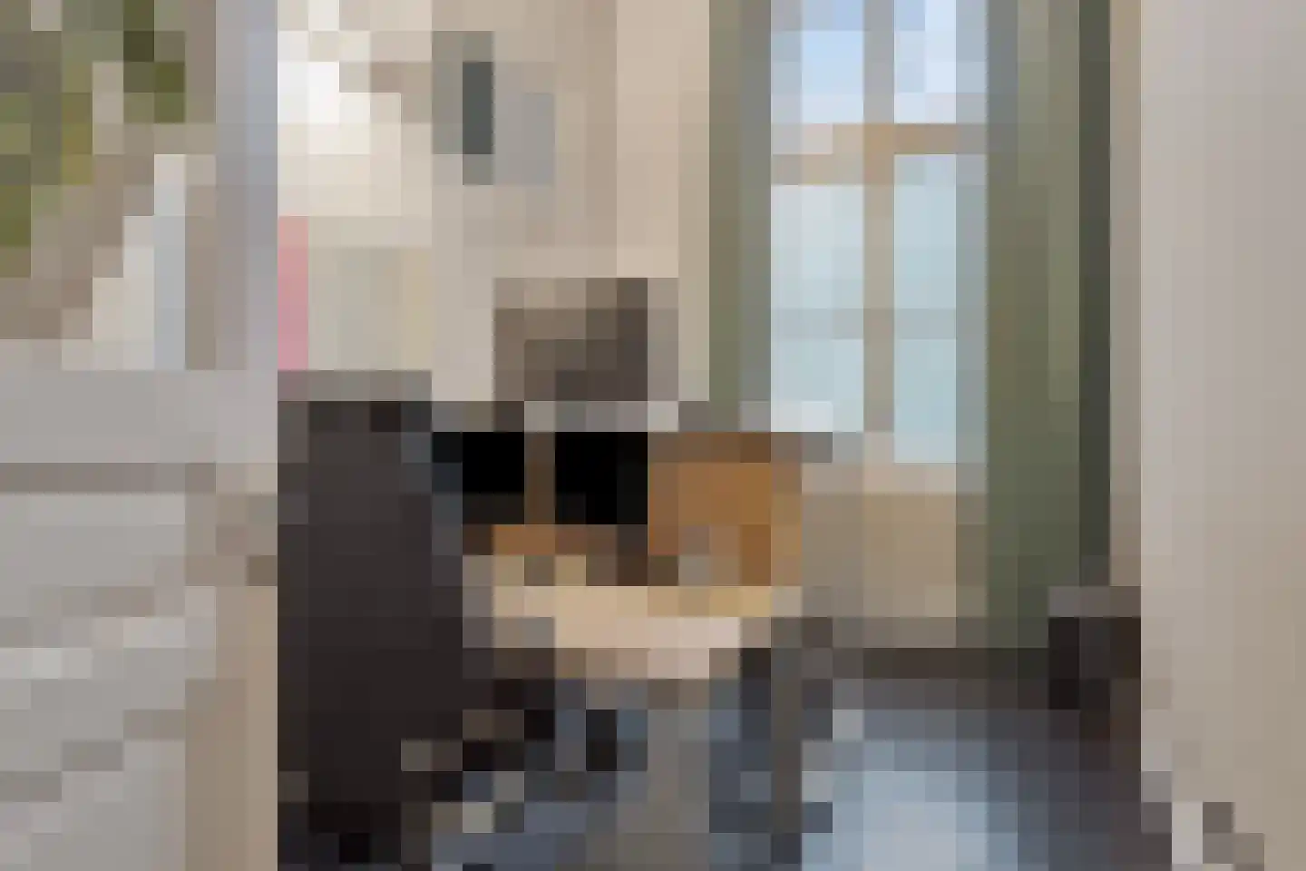 Elisabethplaats 30 Gemert thumbnail 22