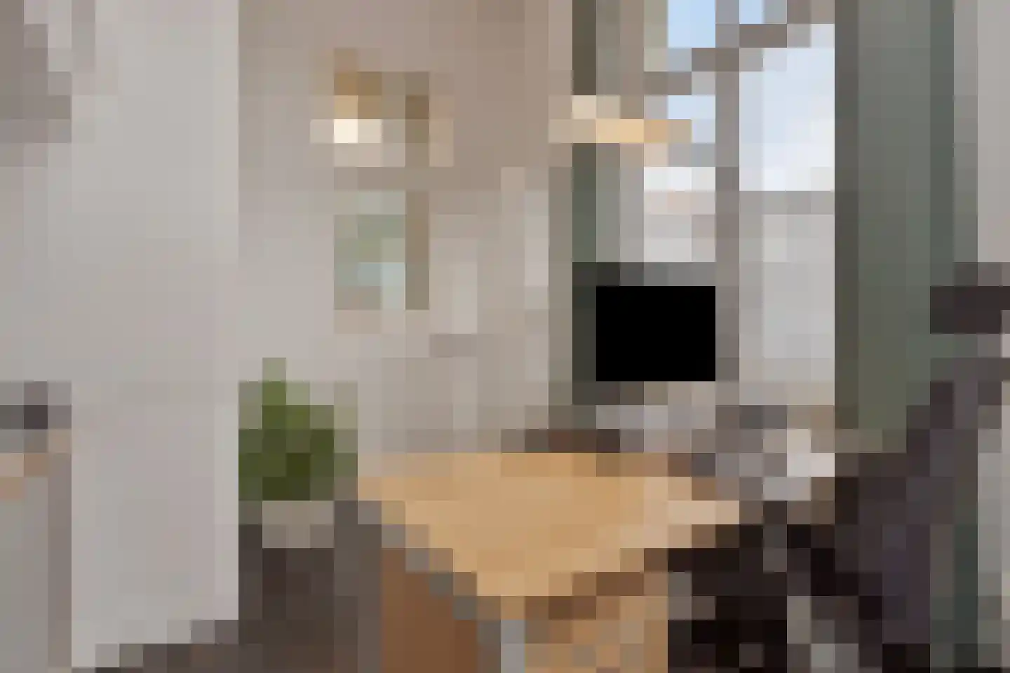 Elisabethplaats 30 Gemert thumbnail 25