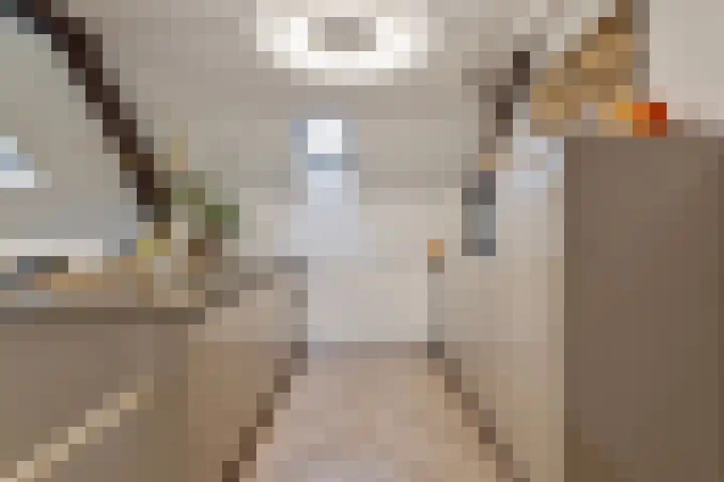 Elisabethplaats 30 Gemert thumbnail 30